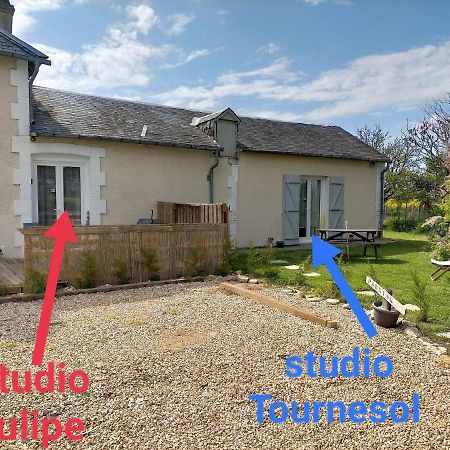 Studio " Tournesol " Au Coeur Du Berry Les Bordes Luaran gambar