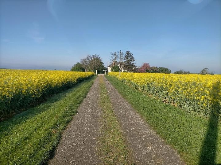 Studio " Tournesol " Au Coeur Du Berry Les Bordes Luaran gambar